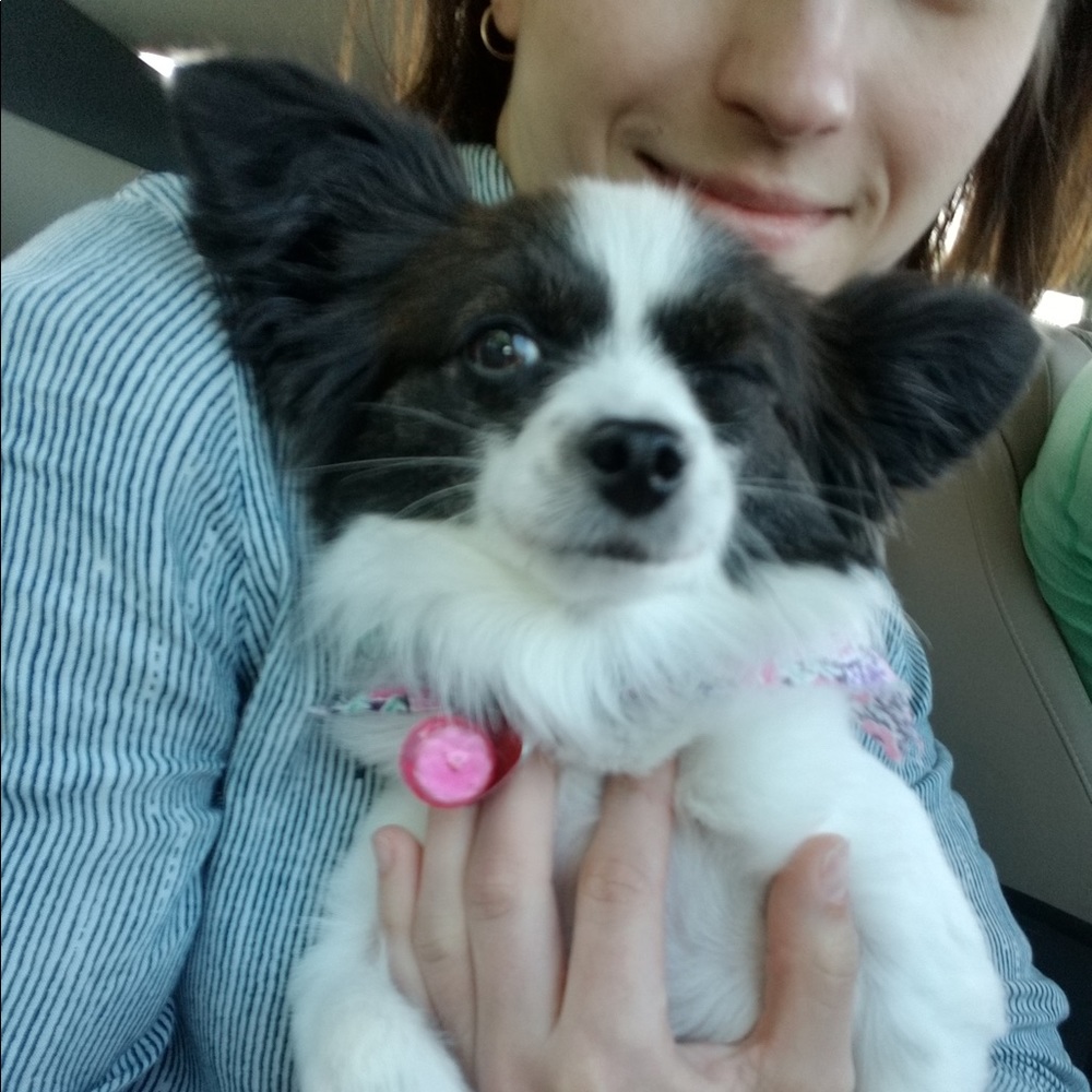 Meet your Posher, Barbara